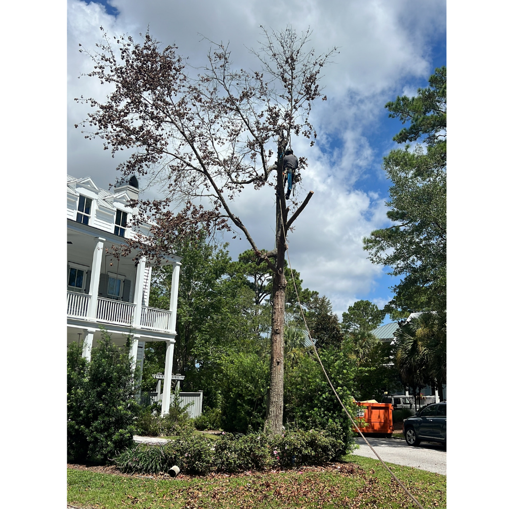 20-1.webp